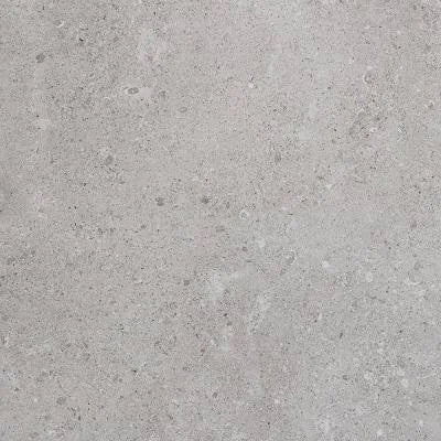 Gray Matte 24 in. x 24 in. Porcelain Floor and Wall Tile R9629