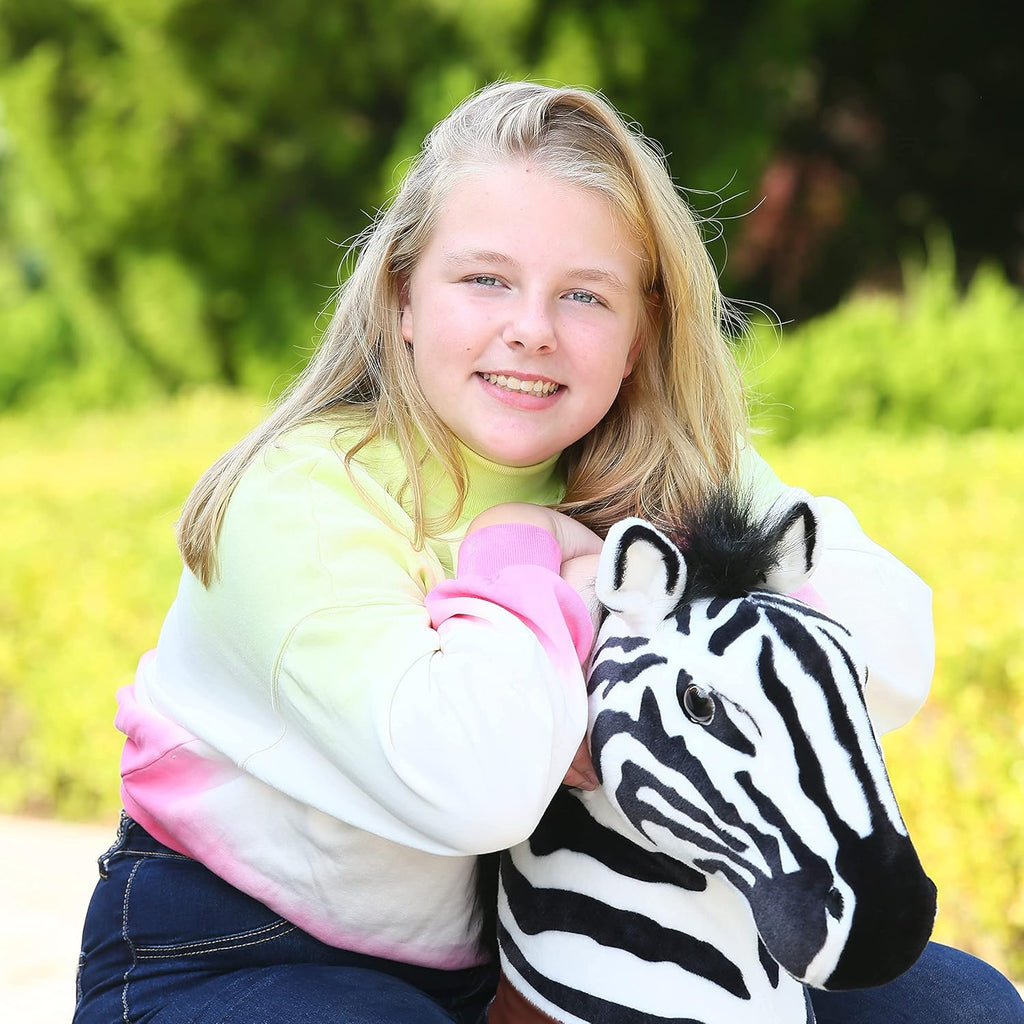 Kids Ride on Zebra Plush Riding Toy F995494