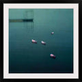 Photographic Print Black Frame 20x22 W1070
