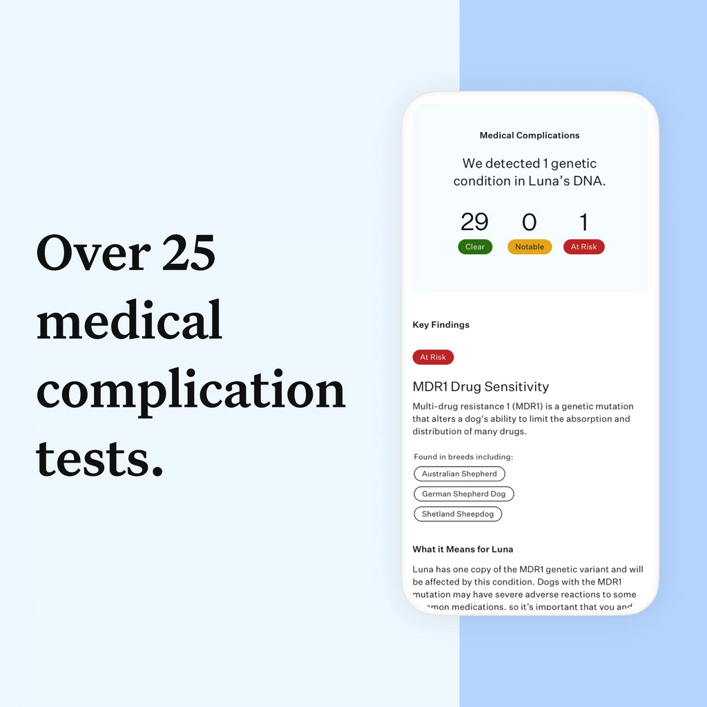 Dog DNA Test Kit N9468