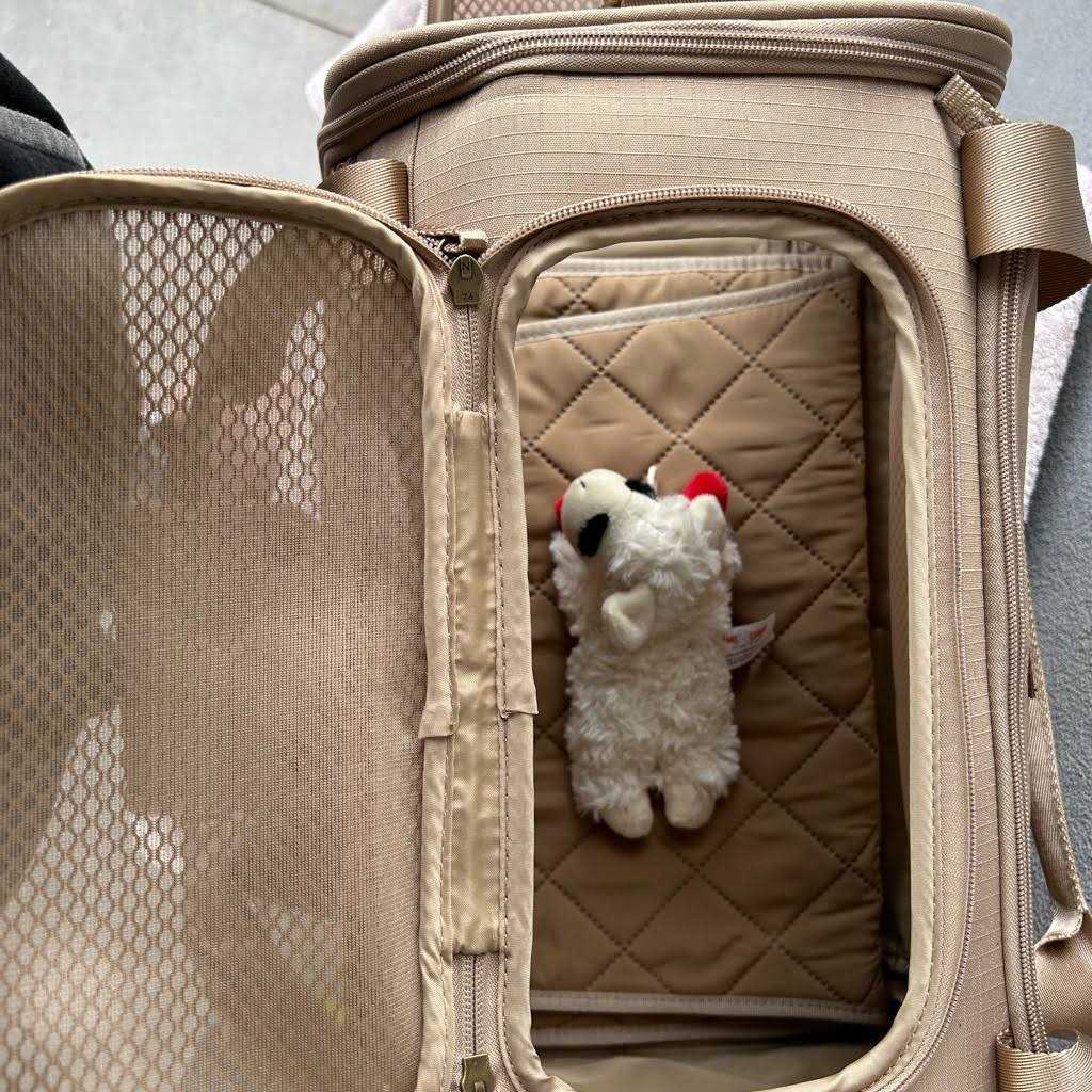 Fold-Out Pet Carrier Z291