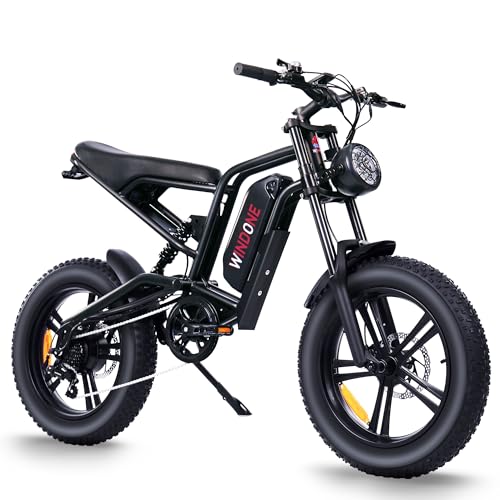 Electric Bike for Adults 48V 750W Peak 20" Fat Tires E8016