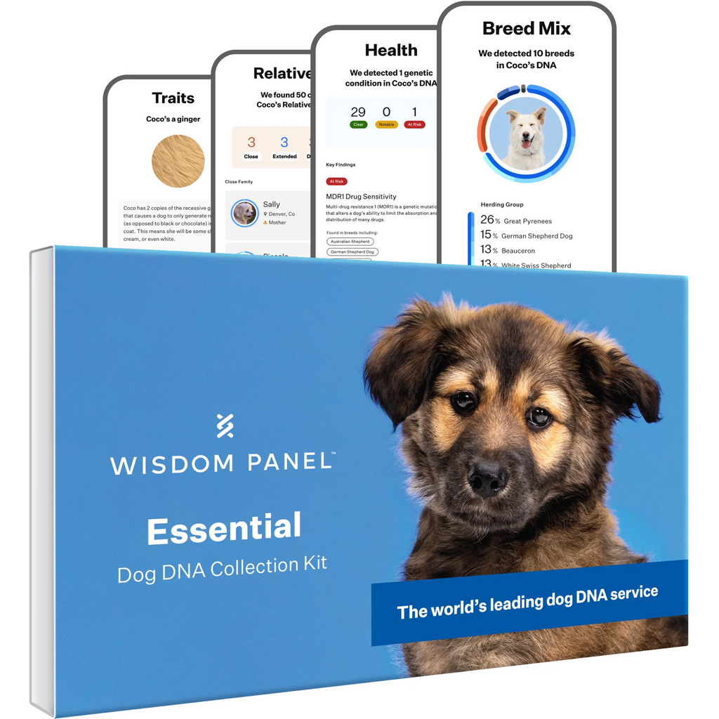 Dog DNA Test Kit N9468