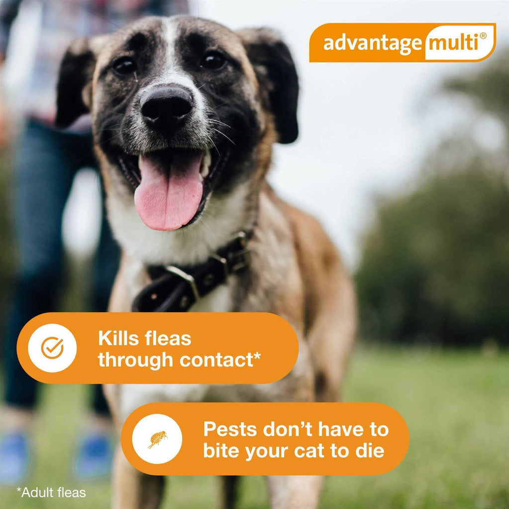 Advantage Multi for Dogs E12051