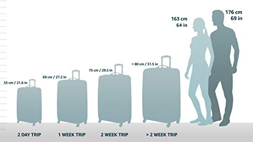 Hardside Spinner Wheel Luggage, Carry-On 20" X8530