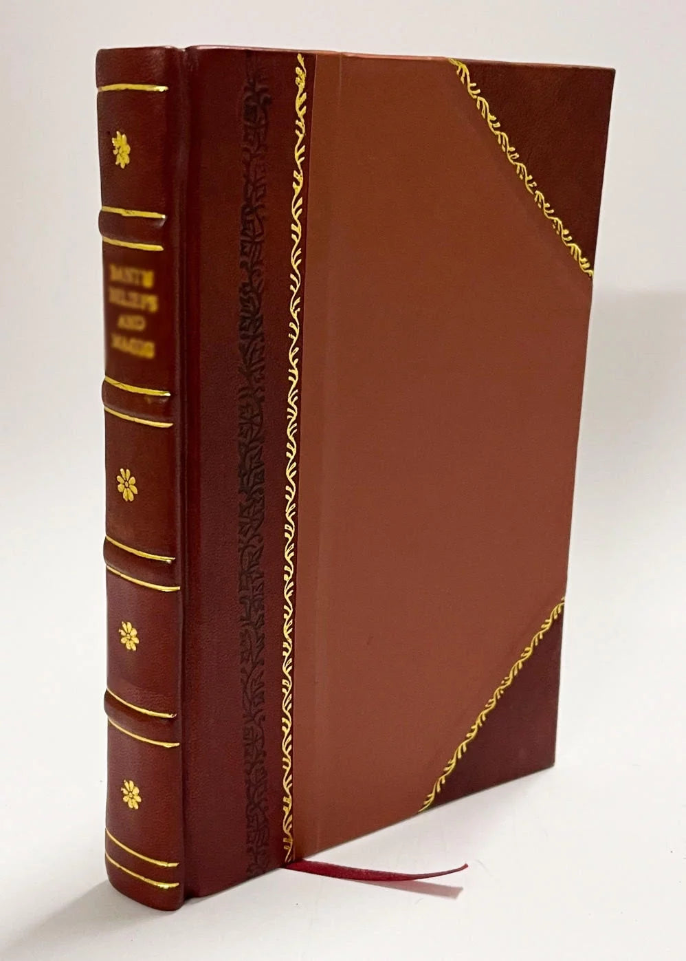 Leather Bound Book M308195