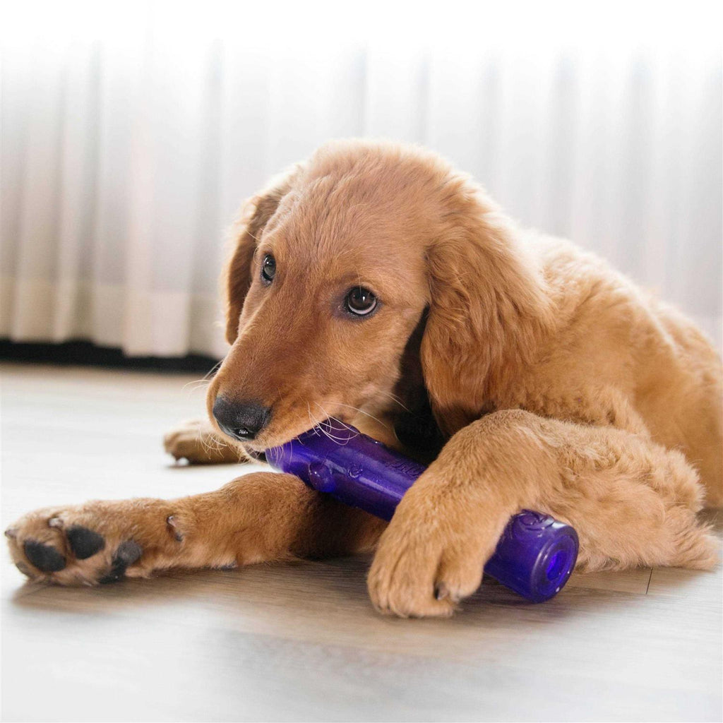 Dog Toy U365