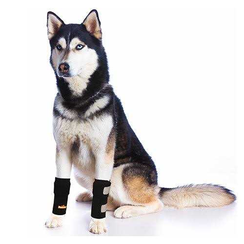 Dog Front Leg Braces and Support R731939