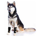 Dog Front Leg Braces and Support R731939