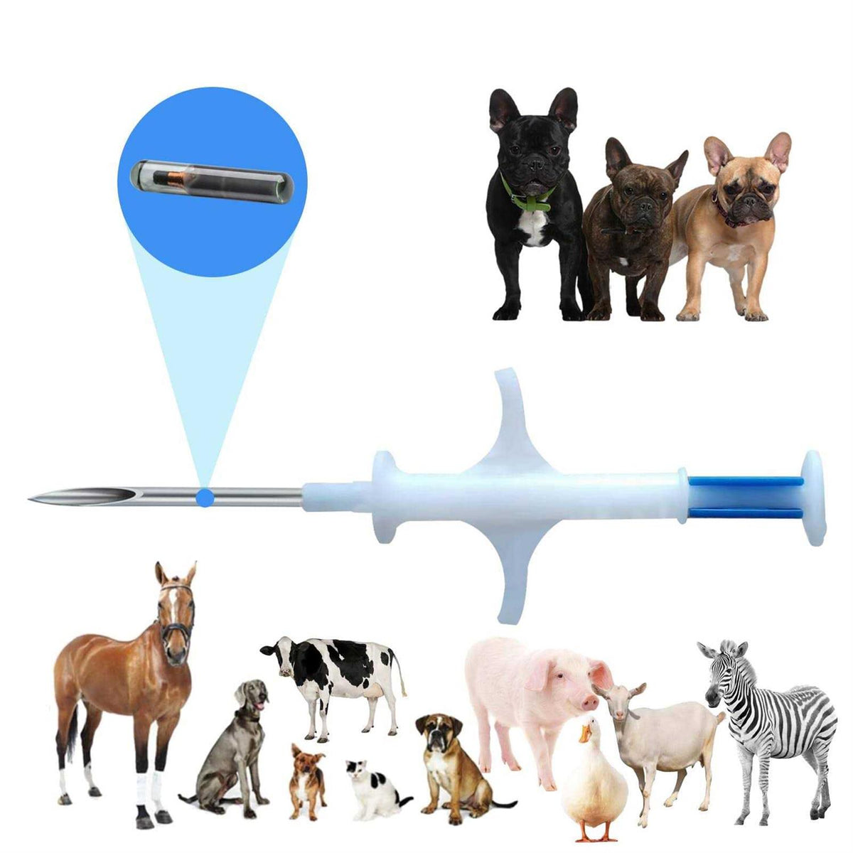 Microchip for Dogs and Cats 20 Pack Animal Identification Syringe Z2416
