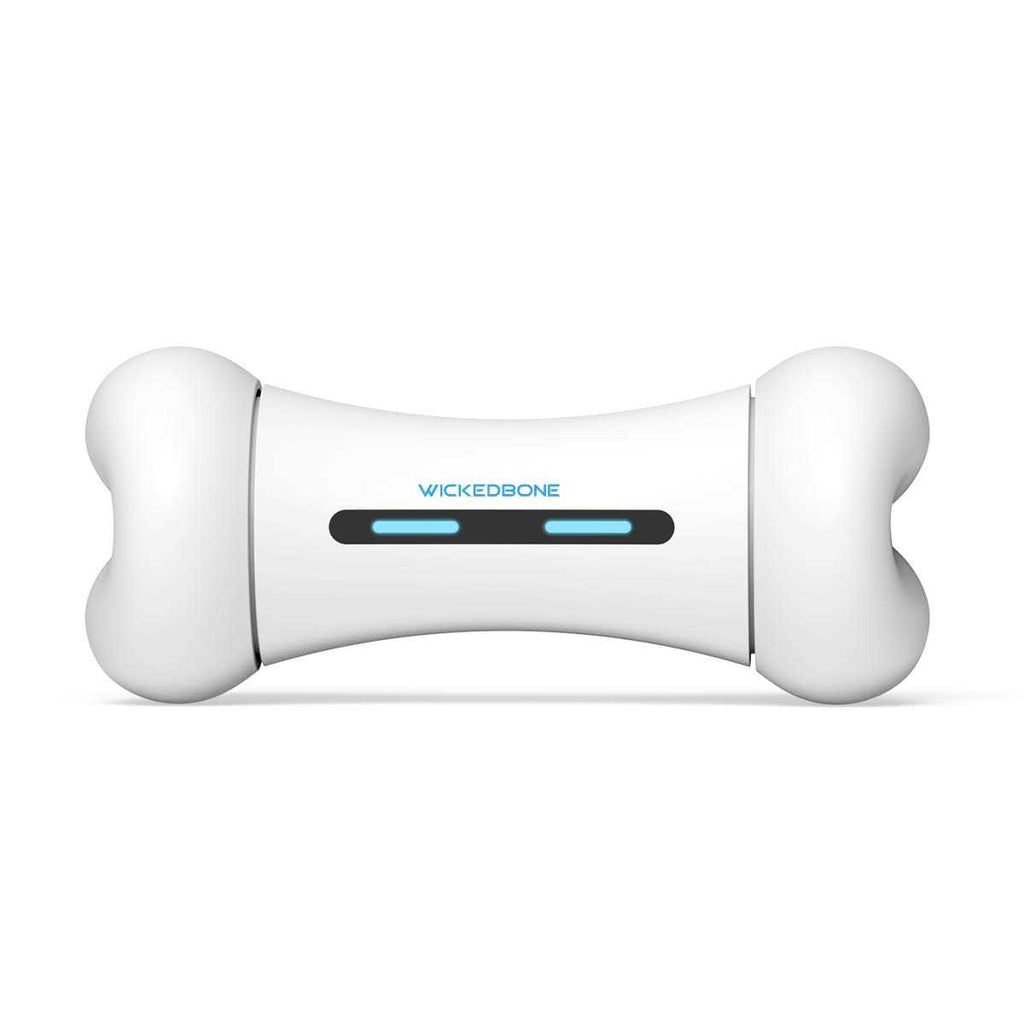 Automatic Interactive Dog Toys R157