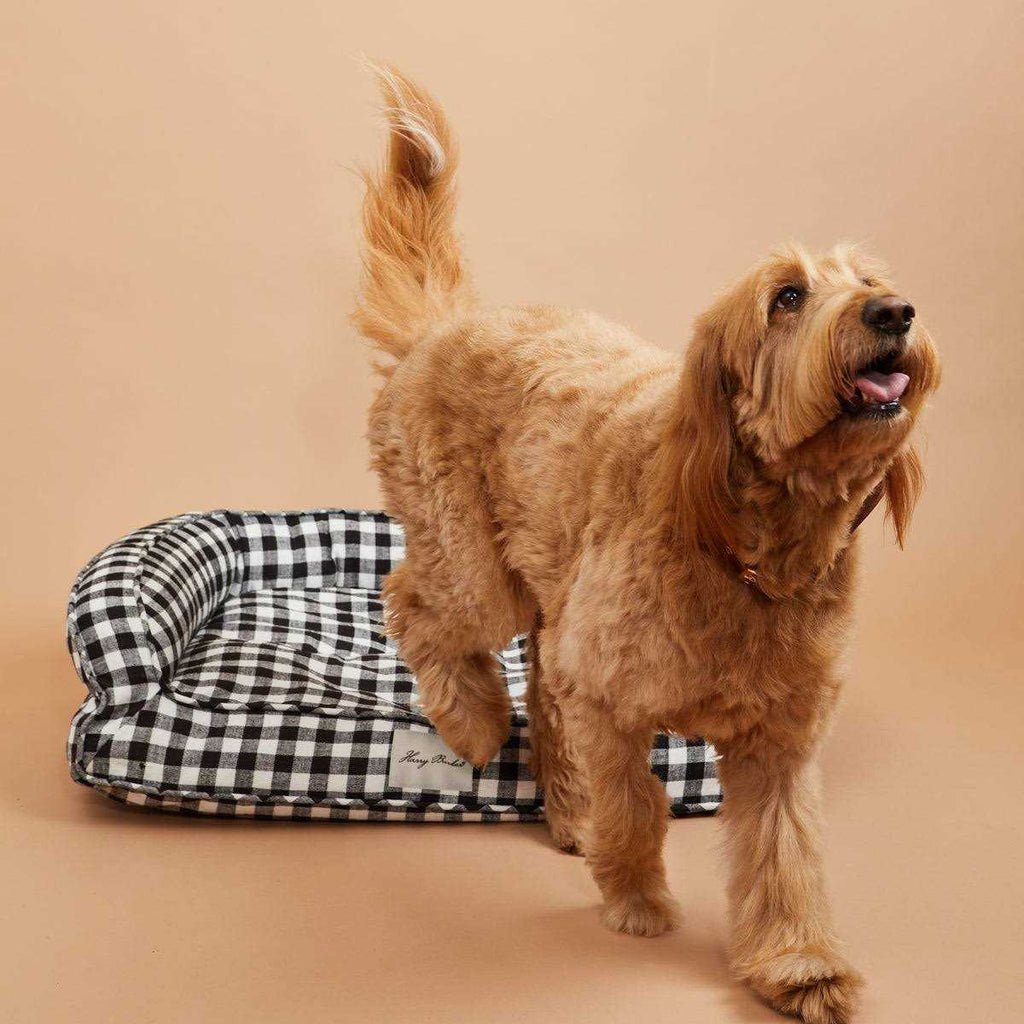 Buffalo Check Lounger R540440