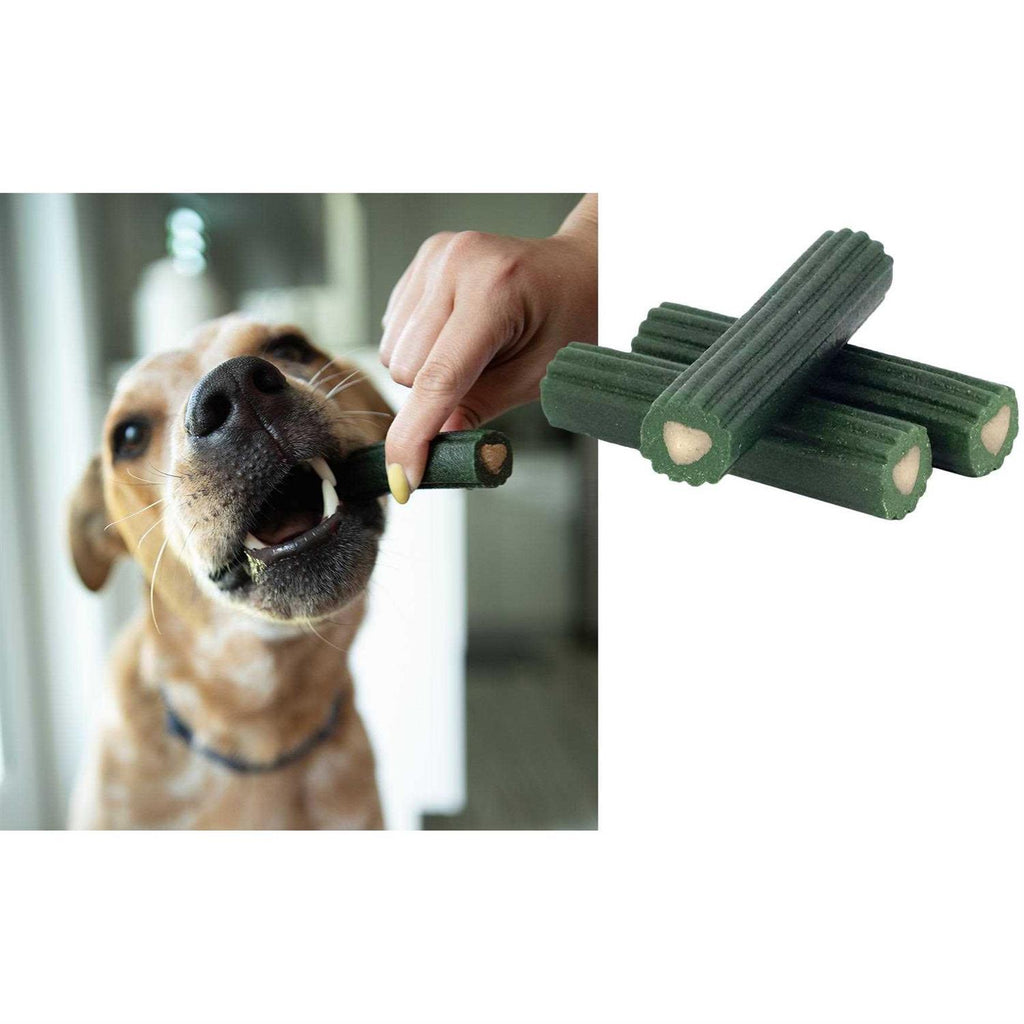 Large Dental Dog Treats H1709