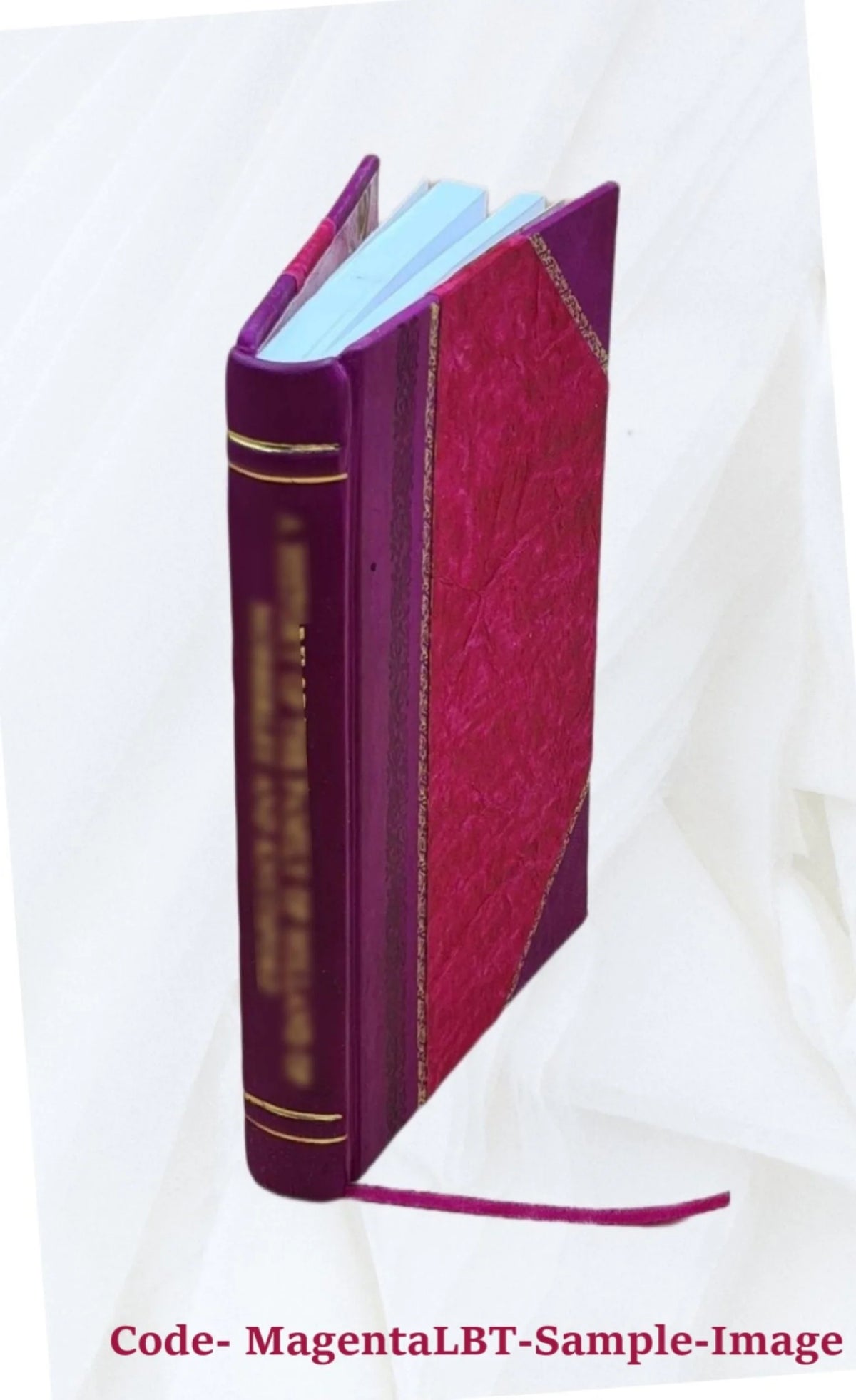 1921 Leather Bound Volume 20 K1612
