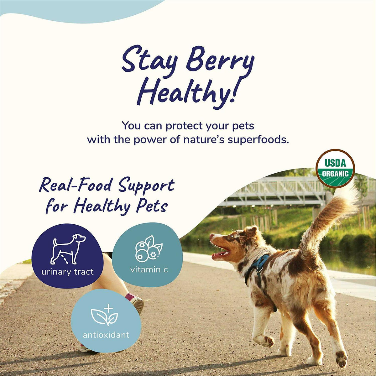 Healthy Immunity for Dogs and Cats A27691