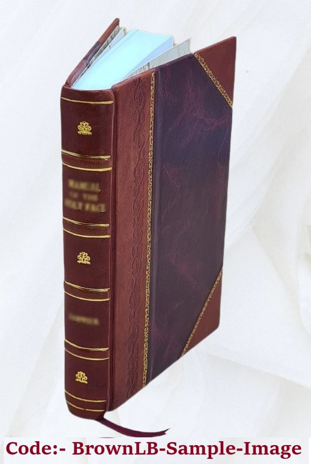 Fairy Tale Leather Bound G2800