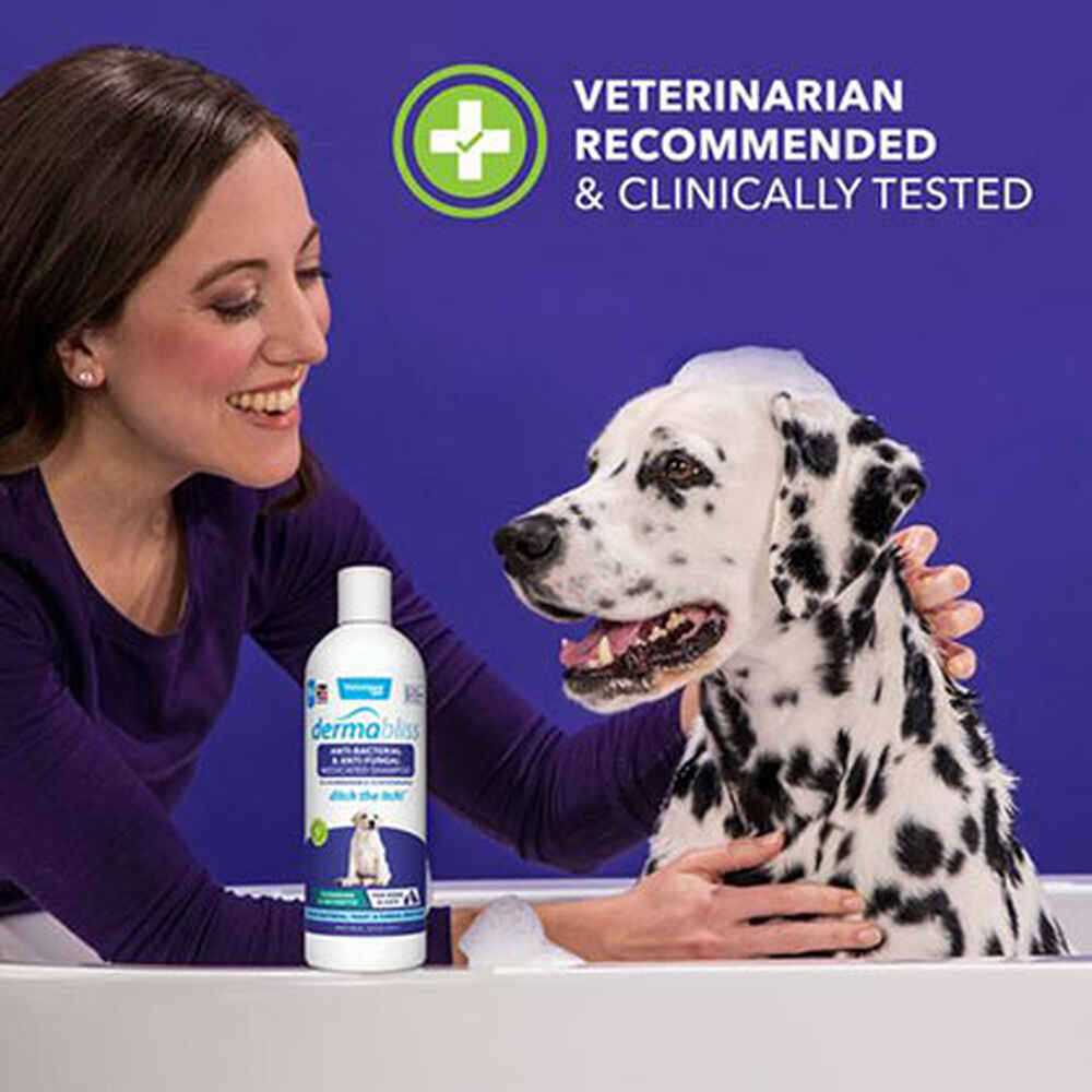 Chlorhexidine Shampoo 16 Oz Bottle For Dogs A47821