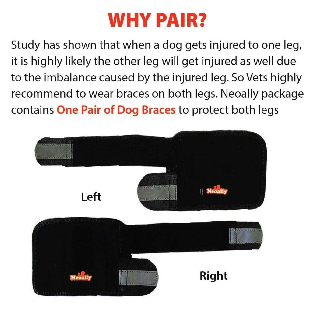 Dog Front Leg Braces and Support R731939