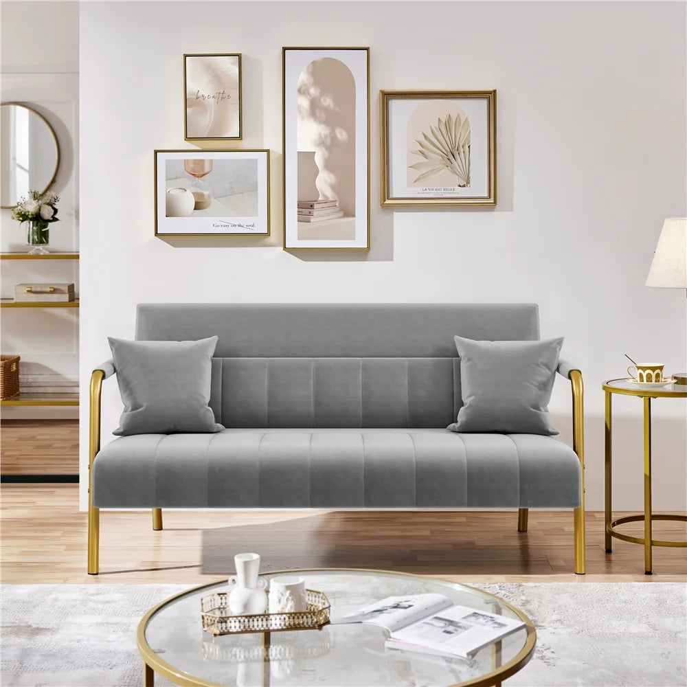 Light Gray Upholstered Sofa Couch with 2 Pillows A455