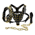 Black Leather Spiked Dog Collar Leash Harness 3 Pcs Set R162345