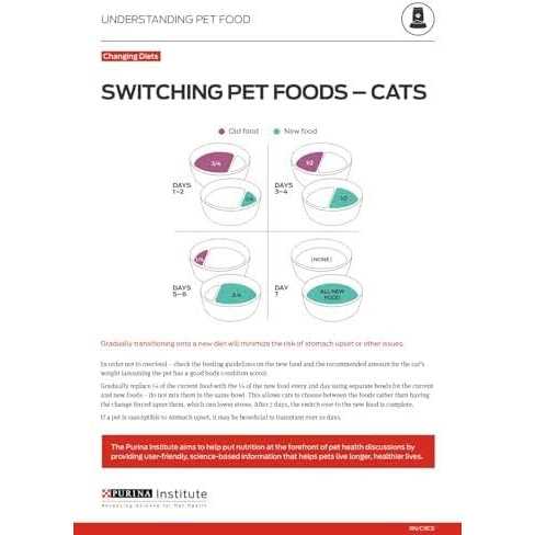 Chicken & Salmon Pate Wet Cat Food X795665