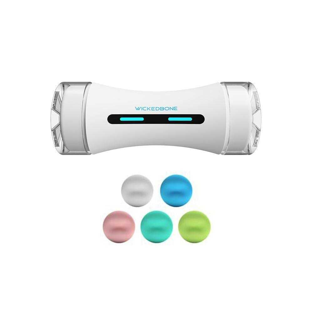 Automatic Interactive Dog Toys R157