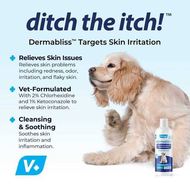 Chlorhexidine Shampoo 16 Oz Bottle For Dogs A47821
