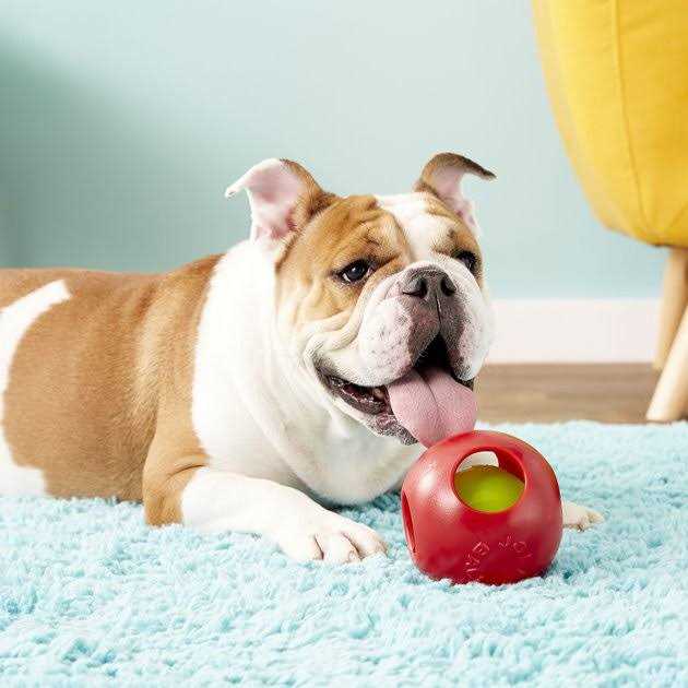 Pet Ball T588
