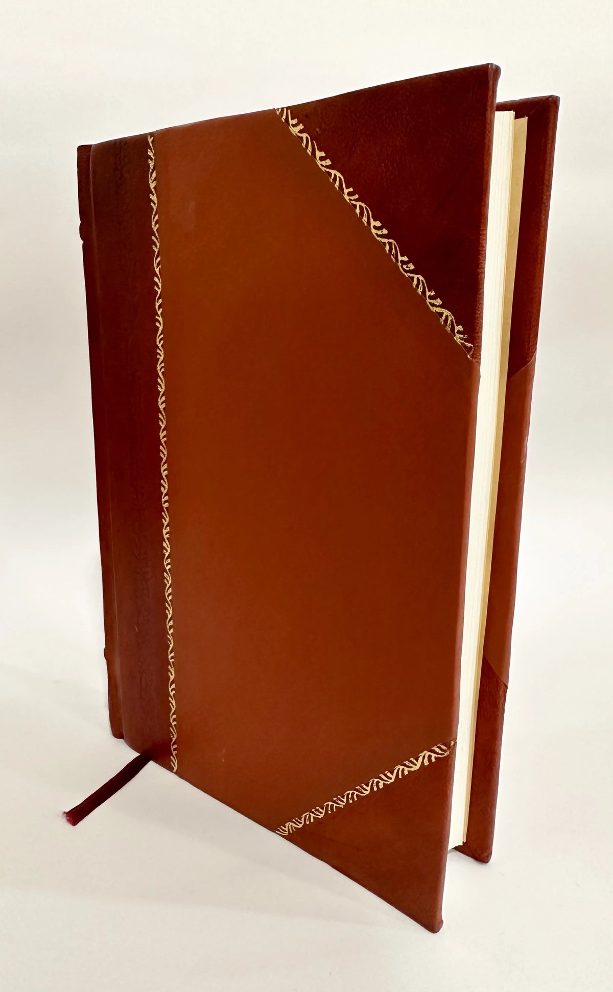 Leather Bound Book J435784