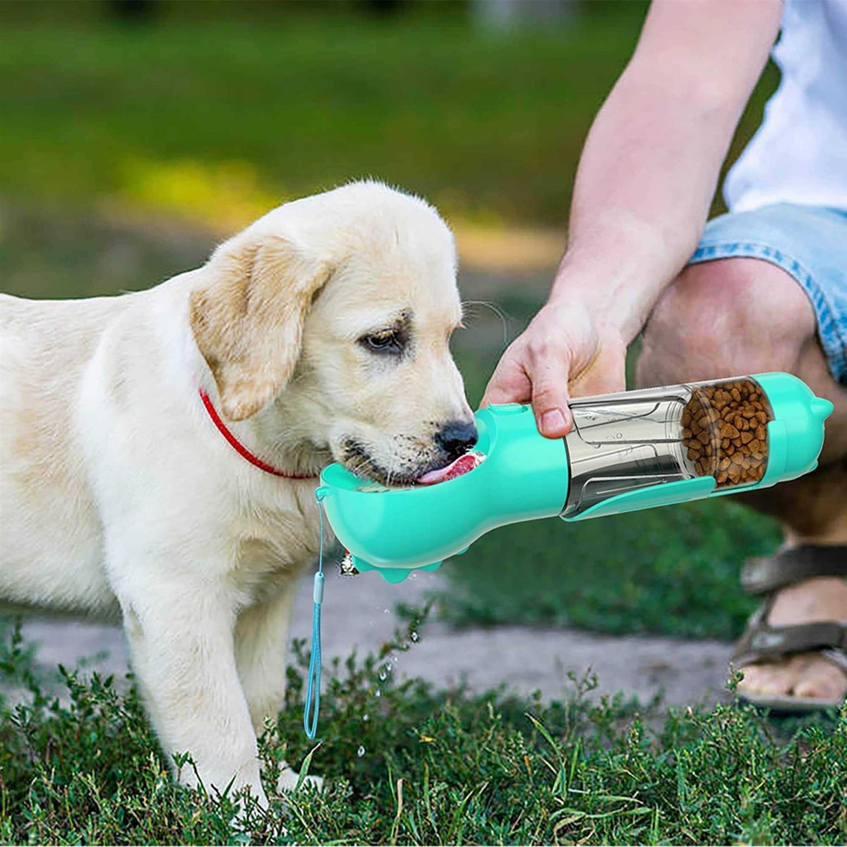 3 in 1 Dog Travel Bottle Set H464