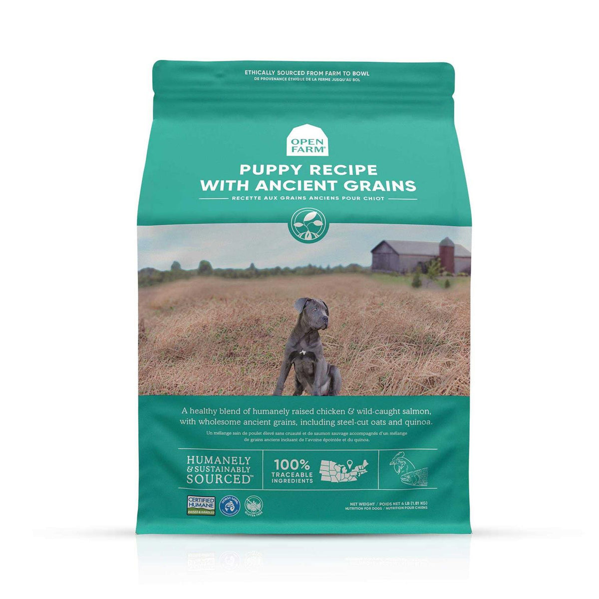 Ancient Grains Puppy Dry Dog Food T228866