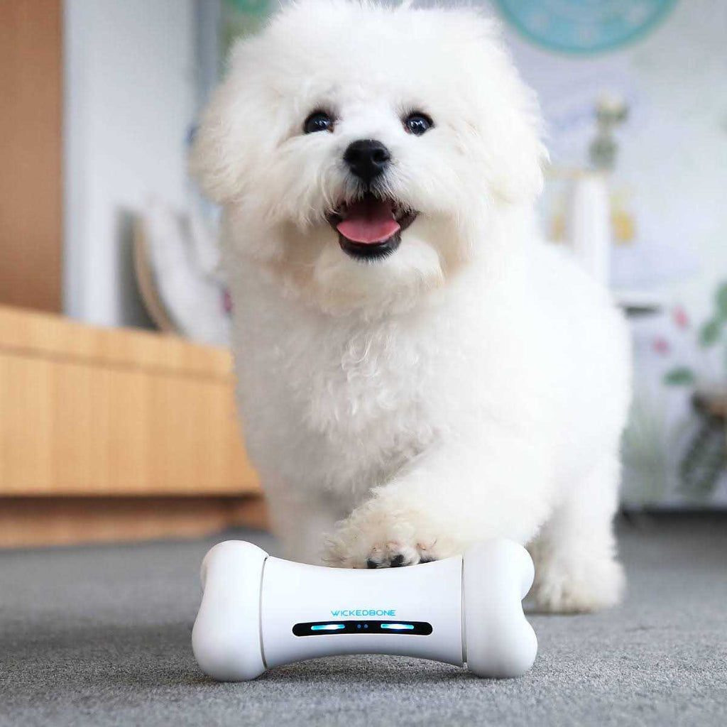 Automatic Interactive Dog Toys R157