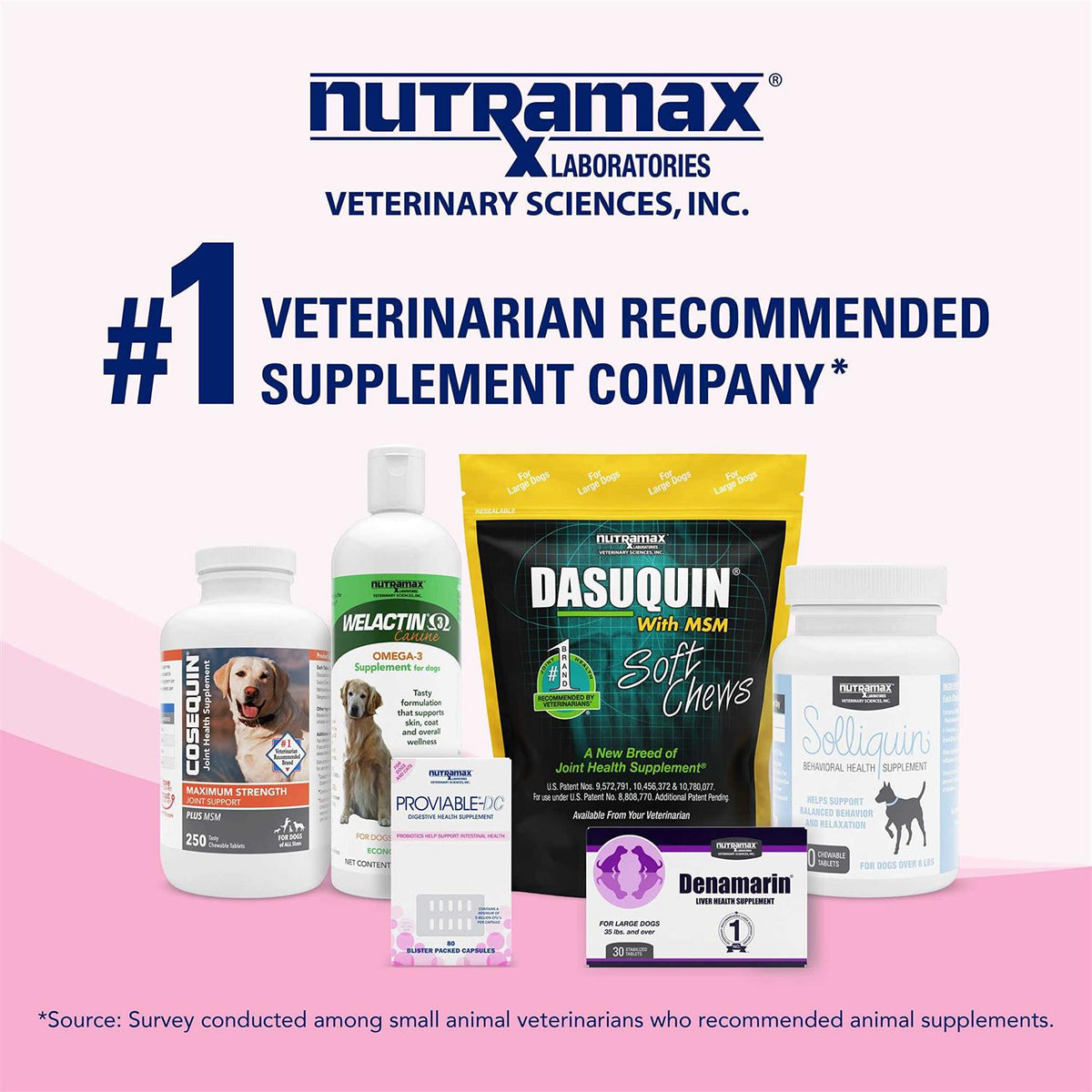 Health Supplement Kit Dogs K328