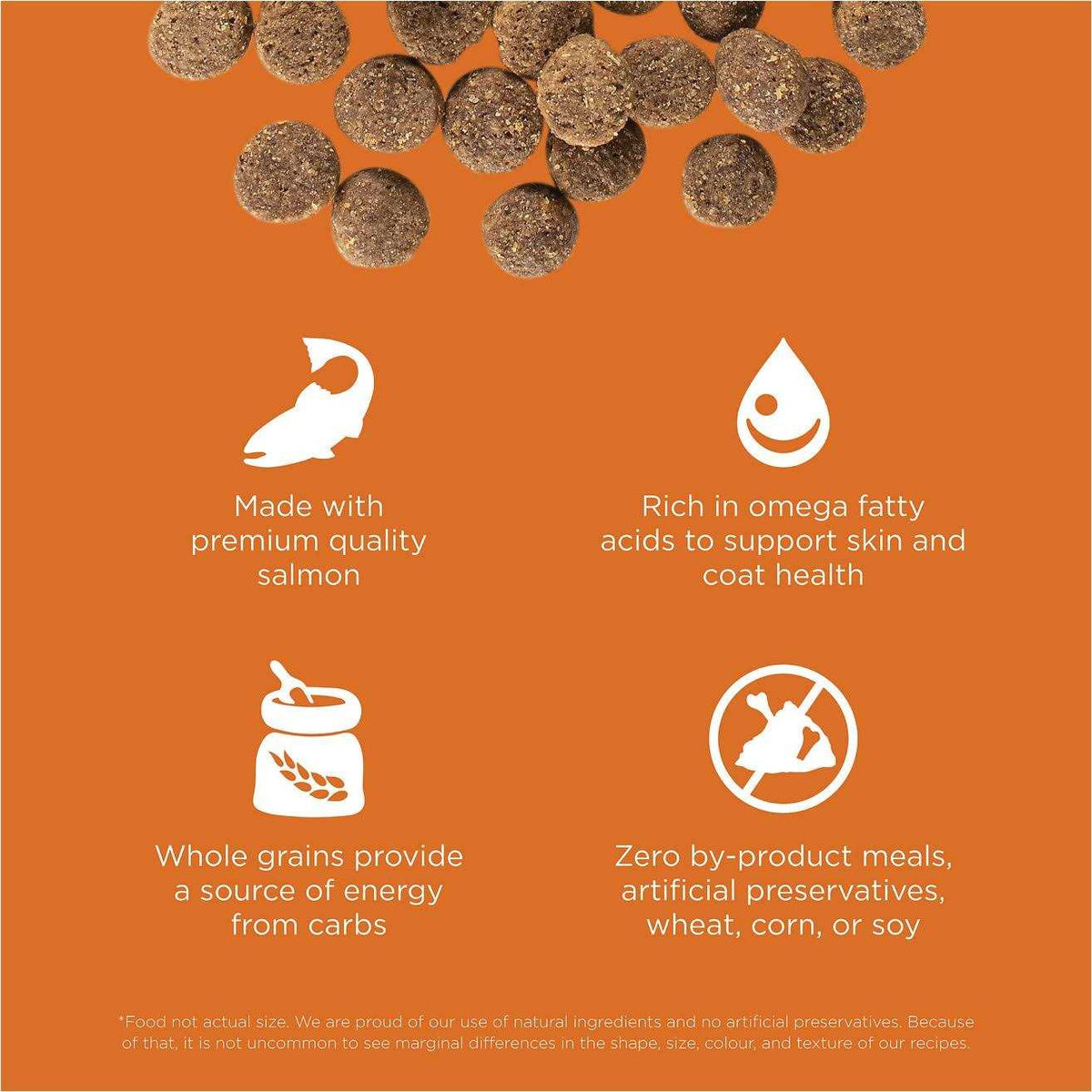 Salmon Recipe Dry Dog Food E363028