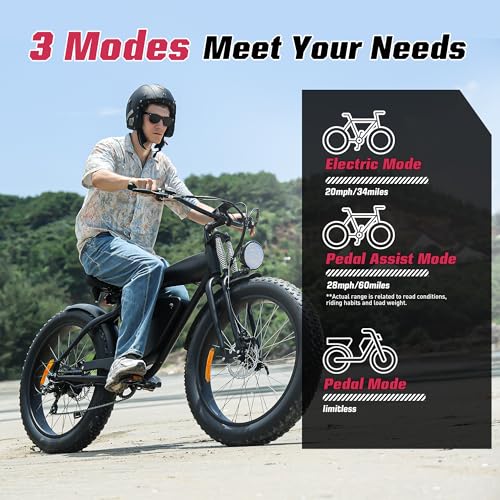 Electric Bike for Adults 48V 750W Peak 20" Fat Tires E8016