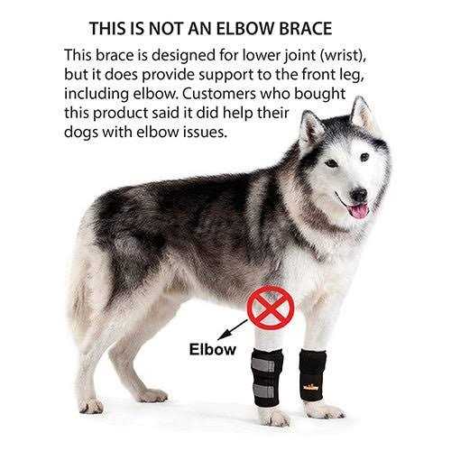 Dog Front Leg Braces and Support R731939